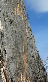 Osoje D