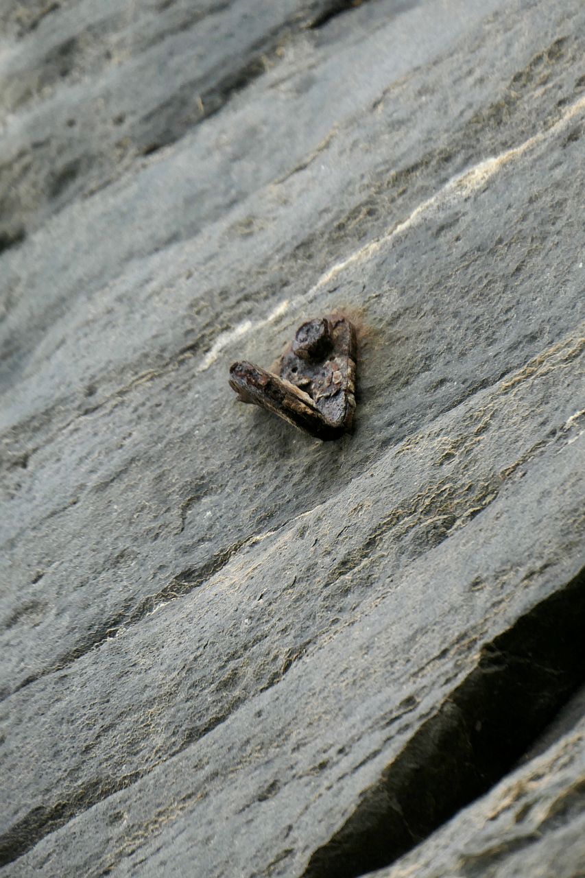 Kliknut�m zav�ete okno.