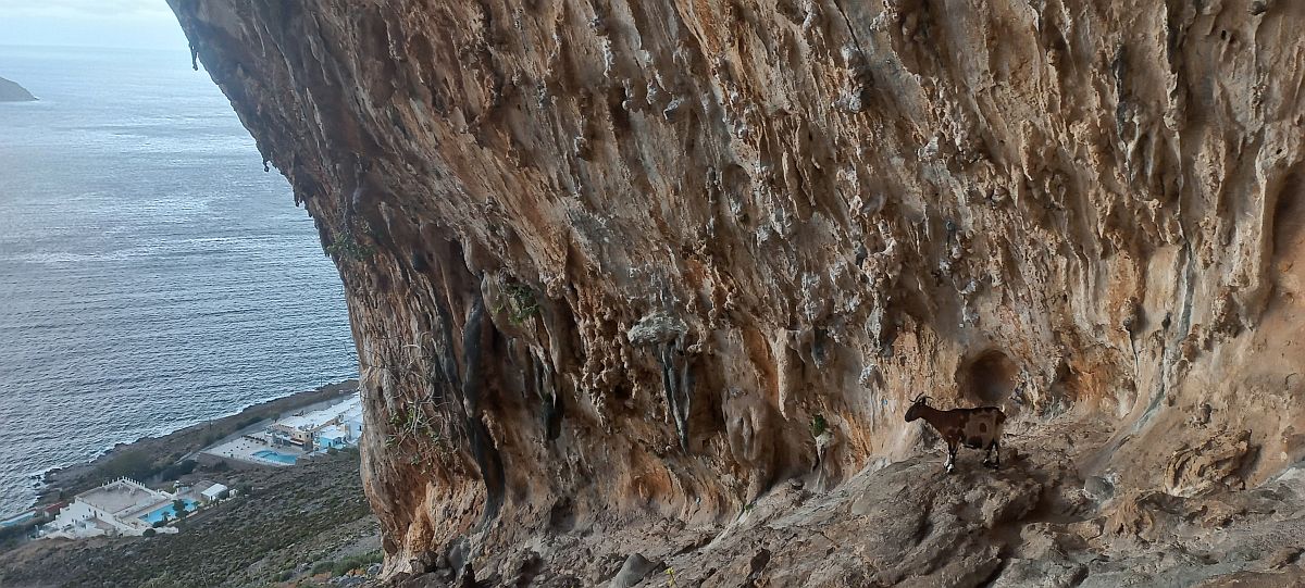 Kliknut�m zav�ete okno.